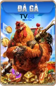 tv88.page